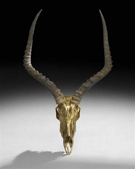 Lot Gold Leafed Impala Skull With Horns