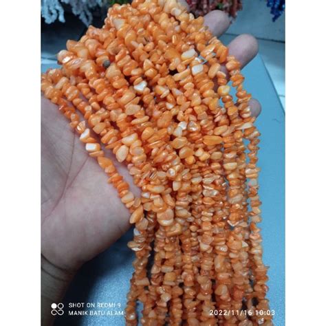 Jual Manik Batu Alam Krikil Kerang Pecah Kecil Panjang Cm Shopee