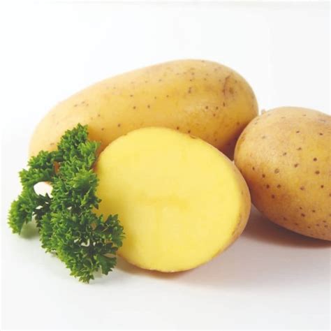 Patatas tipos de corte Recetas La Masía