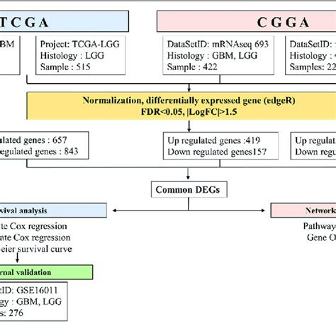 Workflow Of Gene Expression Analysis Of Rna Seq Datasets Tcga And