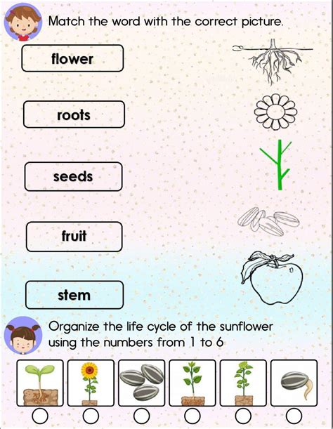 Grade 1 Science Worksheets Fun And Engaging Activities For Young Learners