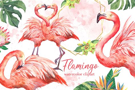 Pink Flamingos Watercolor Clipart Tropical Birds And Flowers Floral