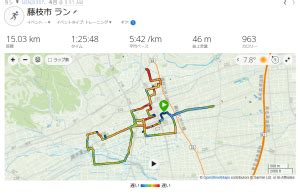 AbbottWMM Wanda Age Group World Rankingsアラカンランナーのグランドスラムチャレンジ日記