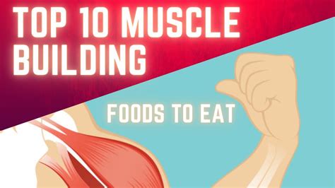 Top 10 Muscle Building Foods To Eat Youtube