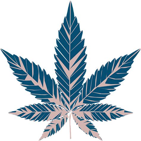 Cannabis Leaf Vector