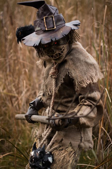 Scarecrow Dc Comics Costume Dc Cosplay Halloween Costume Etsy