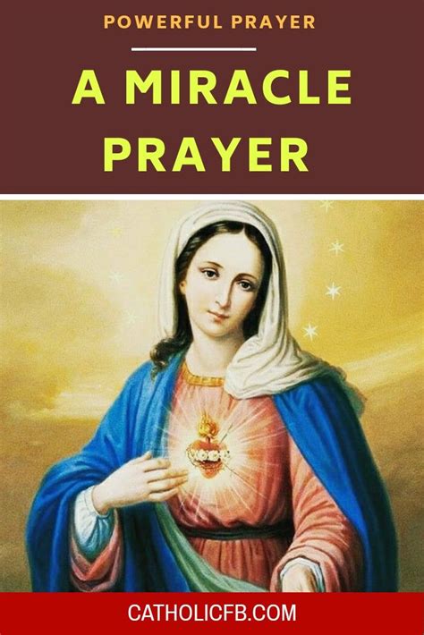 Say This Powerful Prayer And Expect A Miracle From Mother Mary Today 🙏 Miracle Prayer Prayers