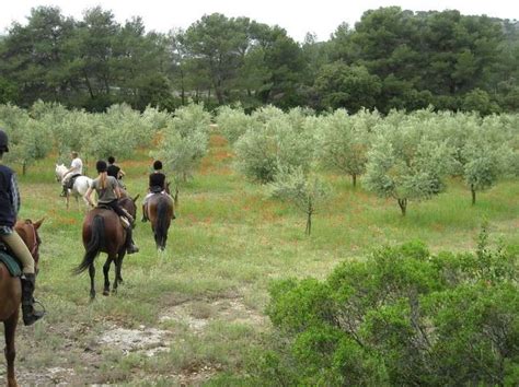 Randonnée à Cheval Provence Week End Decouverte Des Alpilles Cap