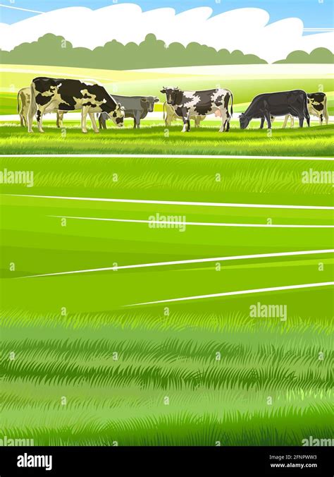 Cows herd breeding Stock Vector Images - Alamy