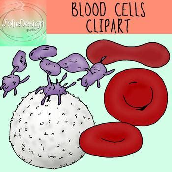 Blood Cells Clip Art - Anatomy Science Clipart - Color and Blackline 10 pc set.