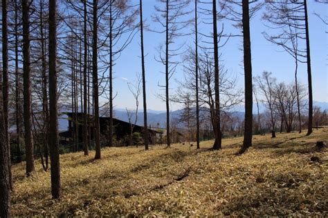 F 8号地（春の丘） 富士山・南アルプス・八ヶ岳の見える別荘地：諏訪 霧ヶ峰高原の別荘地ビバルデの丘