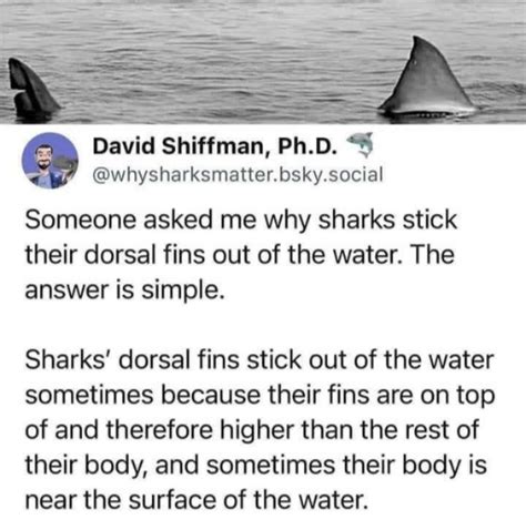 meme memes memedroid