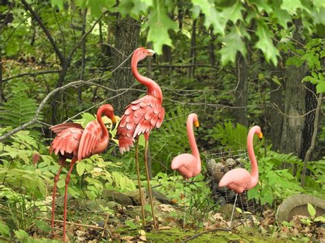 Solve Forest Flamingos Jigsaw Puzzle Online With Pieces