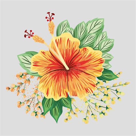 Flor hawaiana stock de ilustración Ilustración de estirado 20341934