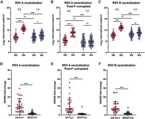 A Prefusion Stabilized RSV F Subunit Vaccine Elicits B Cell Responses