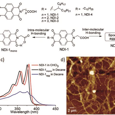 A Time Dependent Change In The UV Vis Spectra Of NDI 1mono In The