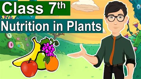 Class 7 Science Chapter 1 Nutrition In Plants CBSE Class 7 Science