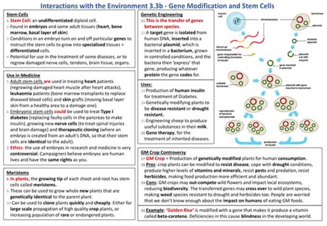 Knowledge Organiser Aqa 9 1 Gcse Synergy Genetic Modification And Stem Cells Teaching Resources