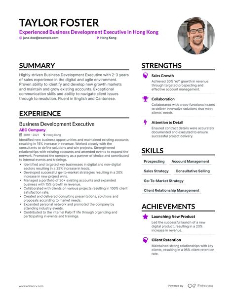 Business Development Executive Resume Examples Guide For