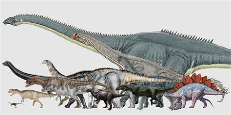 Seismosaurus, morrison Formation, saurophaganax, amphicoelias ...