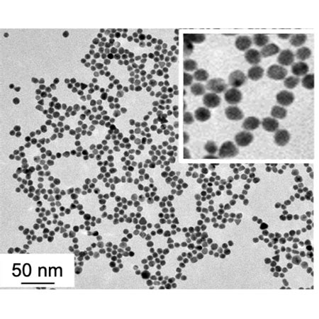 Palladium Nanoparticles