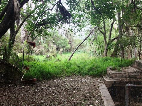 The 15 Best Things To Do In Mcallen 2025 Must See Attractions
