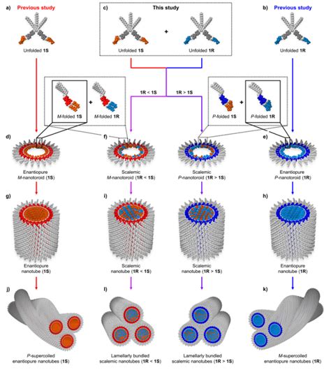 纳米人 Jacs：可折叠偶氮苯染料在分层自组装过程中分子不对称性的放大