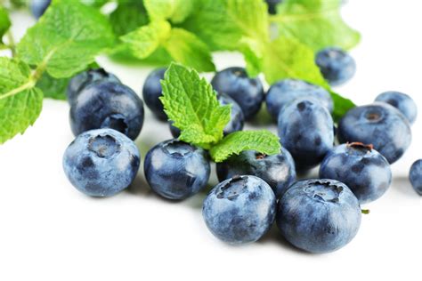 Turkish Blueberry Growers Tackle Economic Challenges