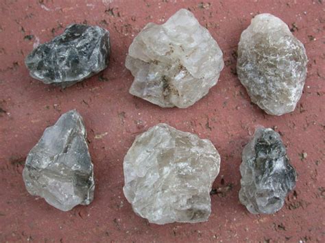 Snack On Halite