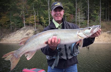 Art Landers Outdoors Cave Run Lake Is Kentuckys Top Destination For