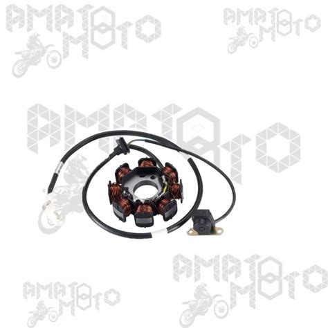 STATOR AIMANT VOLANT D Inertie Original Kymco 00131073 Agility Plus E4