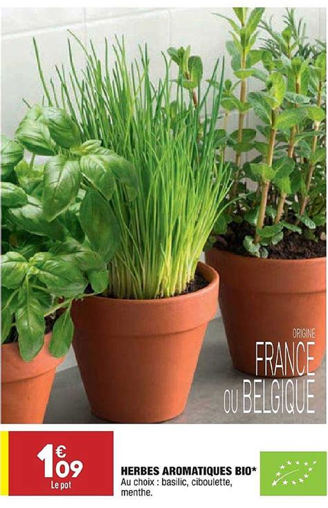 Promo Herbes Aromatiques Bio Chez Aldi ICatalogue Fr