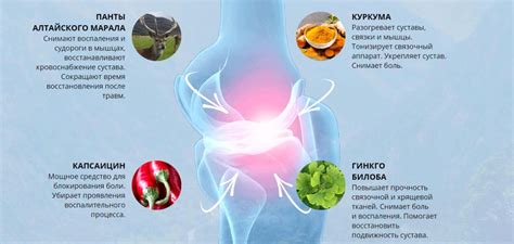 Артекс для Суставов Купить в Охе – Отзывы и Цена в Аптеке!