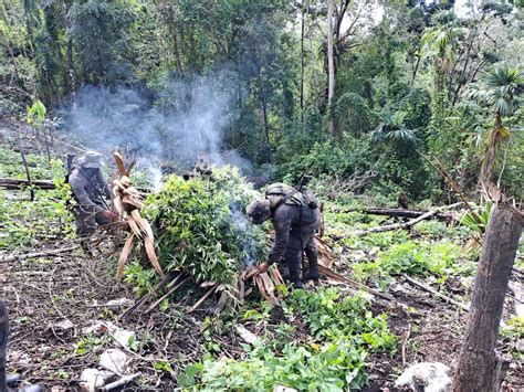 Ejército Guatemala on Twitter Petén EjércitoGT en coordinación con