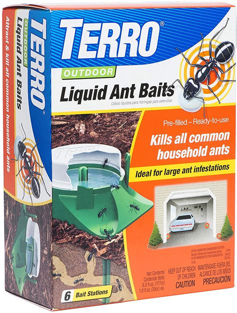 How To Kill Ants Outside The Best Way