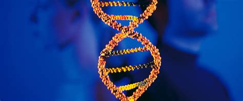 Understanding the Different Types of DNA Testing