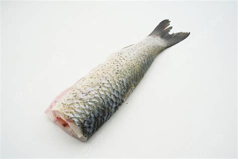 Photo Of Fresh Grass Carp Meat Background Fresh Seafood Grass Carp Background Image And