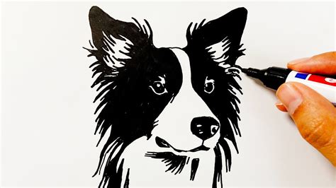 How To Draw A Border Collie Dog Youtube