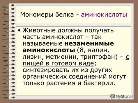 Презентация на тему: "БЕЛКИ (протеины) Protos - первый И. А. Локтионова ...