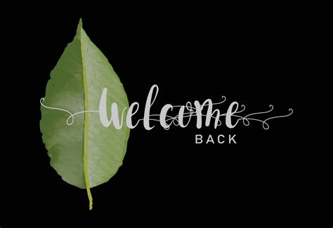 Welcome Banner Design With Natural Watercolor Green Leaves Elements