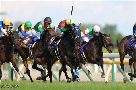 オークス馬ユーバーレーベンが引退 競馬ニュース 競馬ラボ