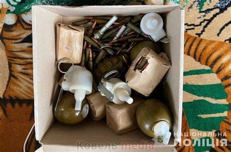 У 56-річного мешканця Ковельського району вилучили 5 гранат із запалами ...