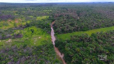 Desmatamento e poluição tomam conta do Rio Itapecuru no Maranhão