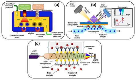 Sensors Free Full Text A Review On Biosensors And Recent Development Of Nanostructured