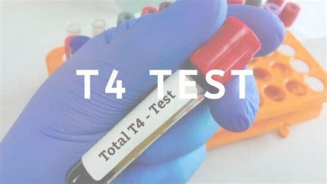 T4 Test for Thyroid @ Rs.249: Best Price by Biocity Healthcare