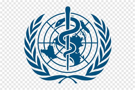 Organizaci N Mundial De La Salud Uni N Europea Salud P Blica Medicina