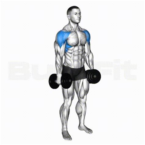 Dumbbell Lateral Raise Smash Your Limit Burnfit