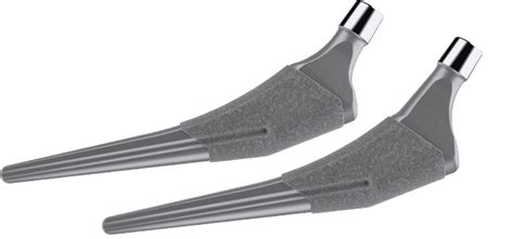 Profemur® Tl2 Hip Stem Microport Orthopedics