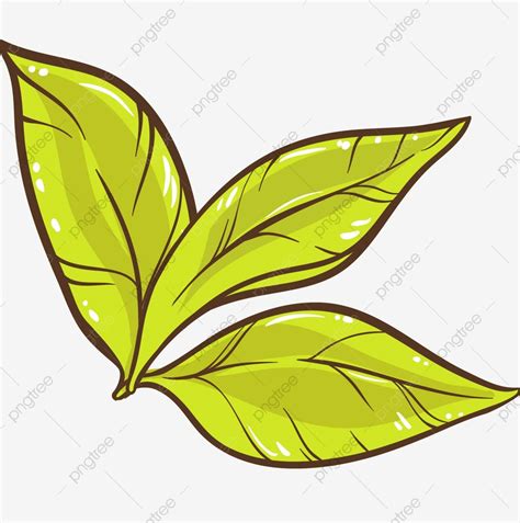 Tea Leaf Clip Art