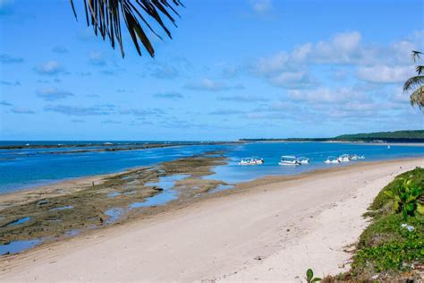 Barra de São Miguel TOP 5 passeios todas as dicas do destino